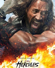 正版授权软件的网站ddos